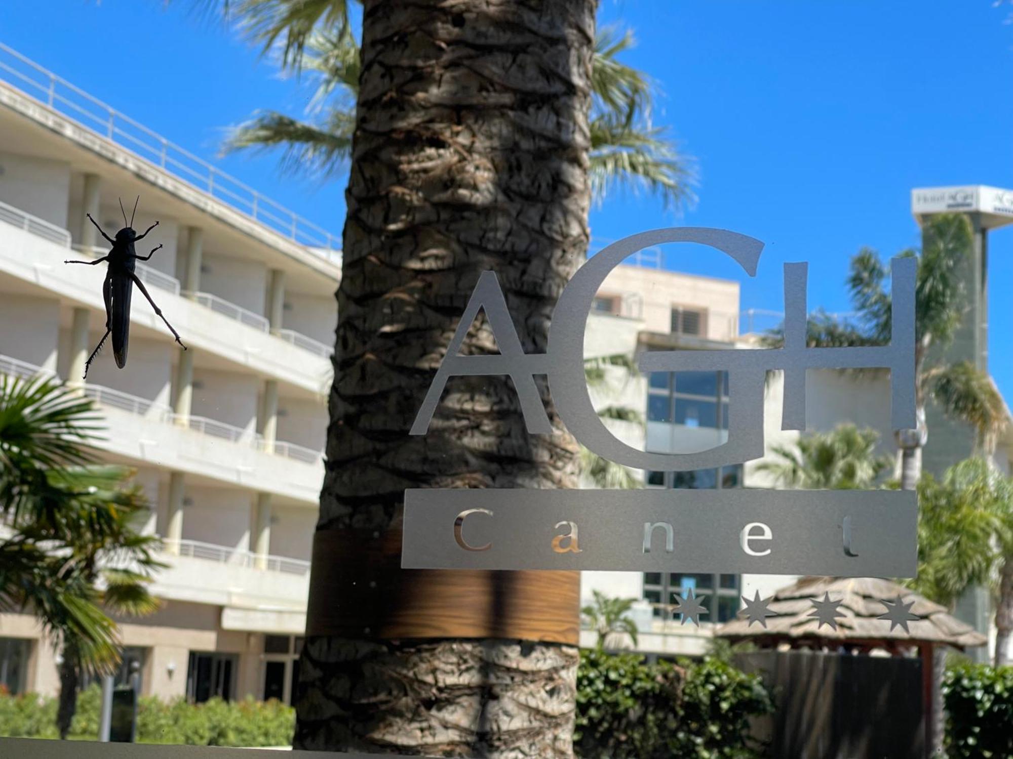 Agh Canet Canet d'En Berenguer Exteriör bild