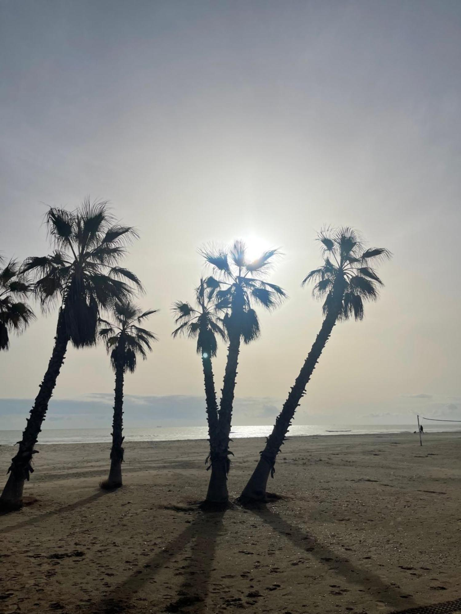 Agh Canet Canet d'En Berenguer Exteriör bild